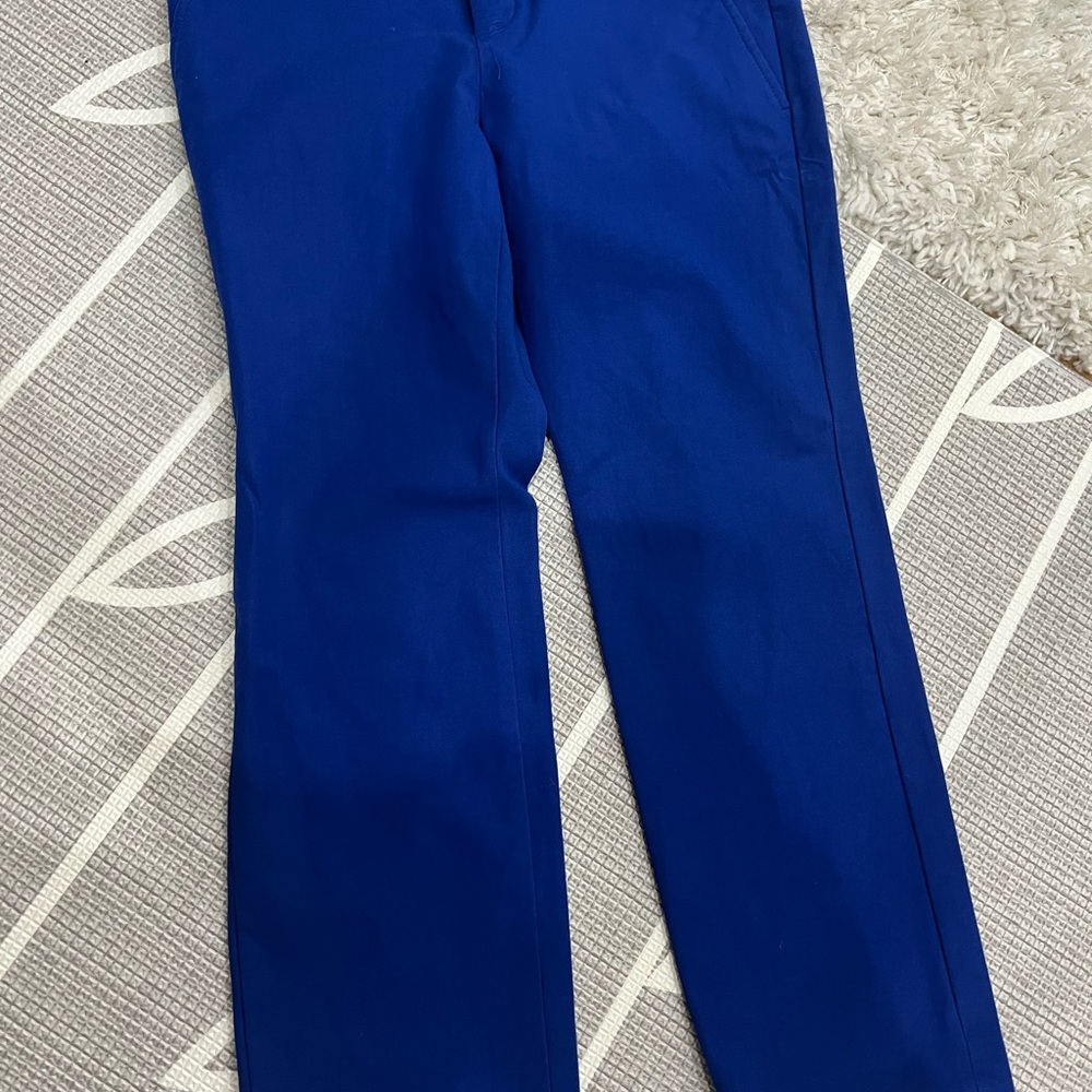 Banana Republic Blue Chinos with Slim Fit and Smooth Texture
